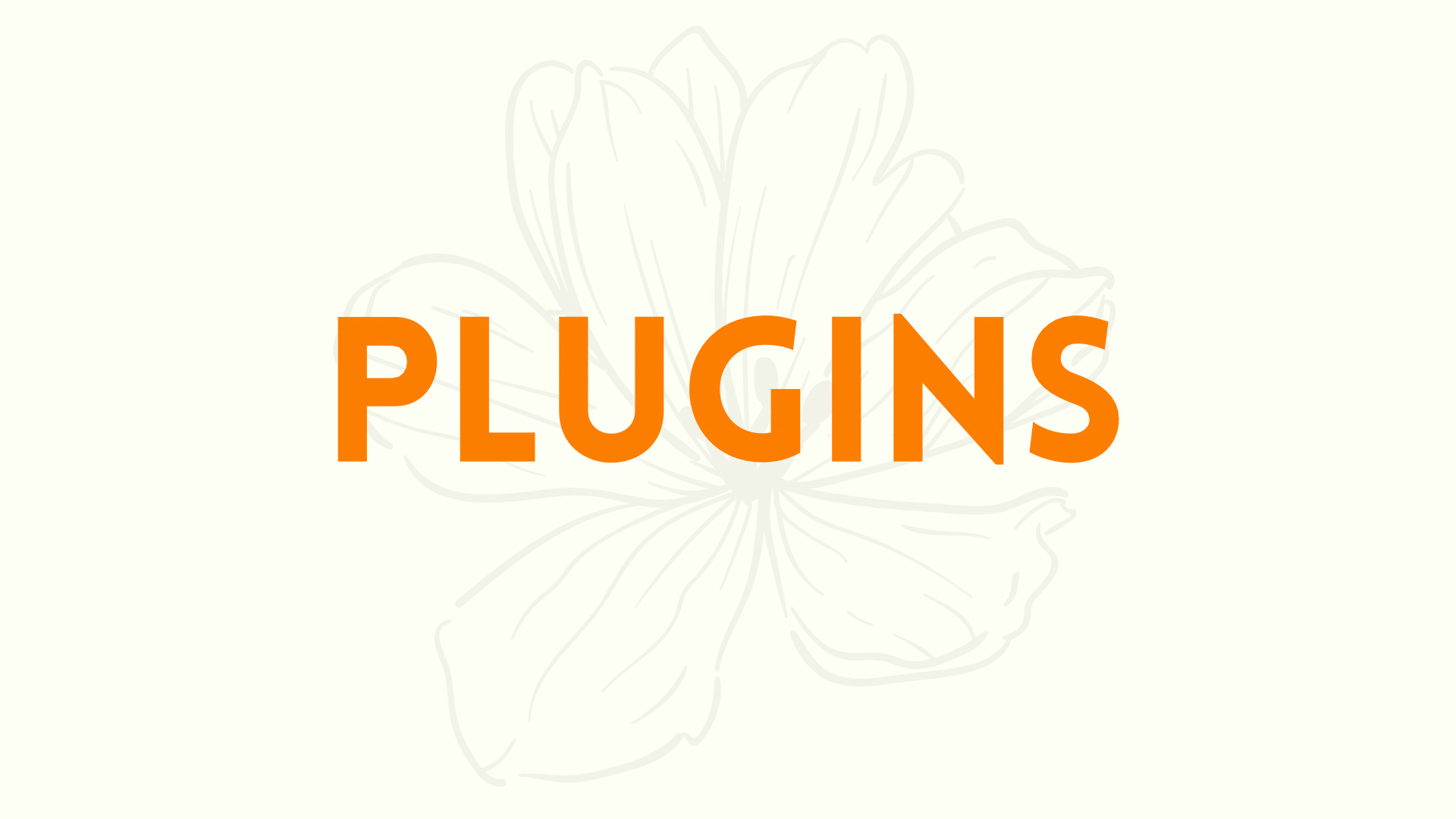 4 Infos über Plugins um dein WordPress zu optimieren